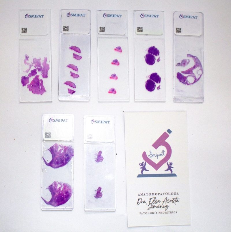 Laminillas procesadas en SMIPAT bajo nuestra política de calidad