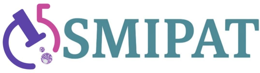 SMIPAT